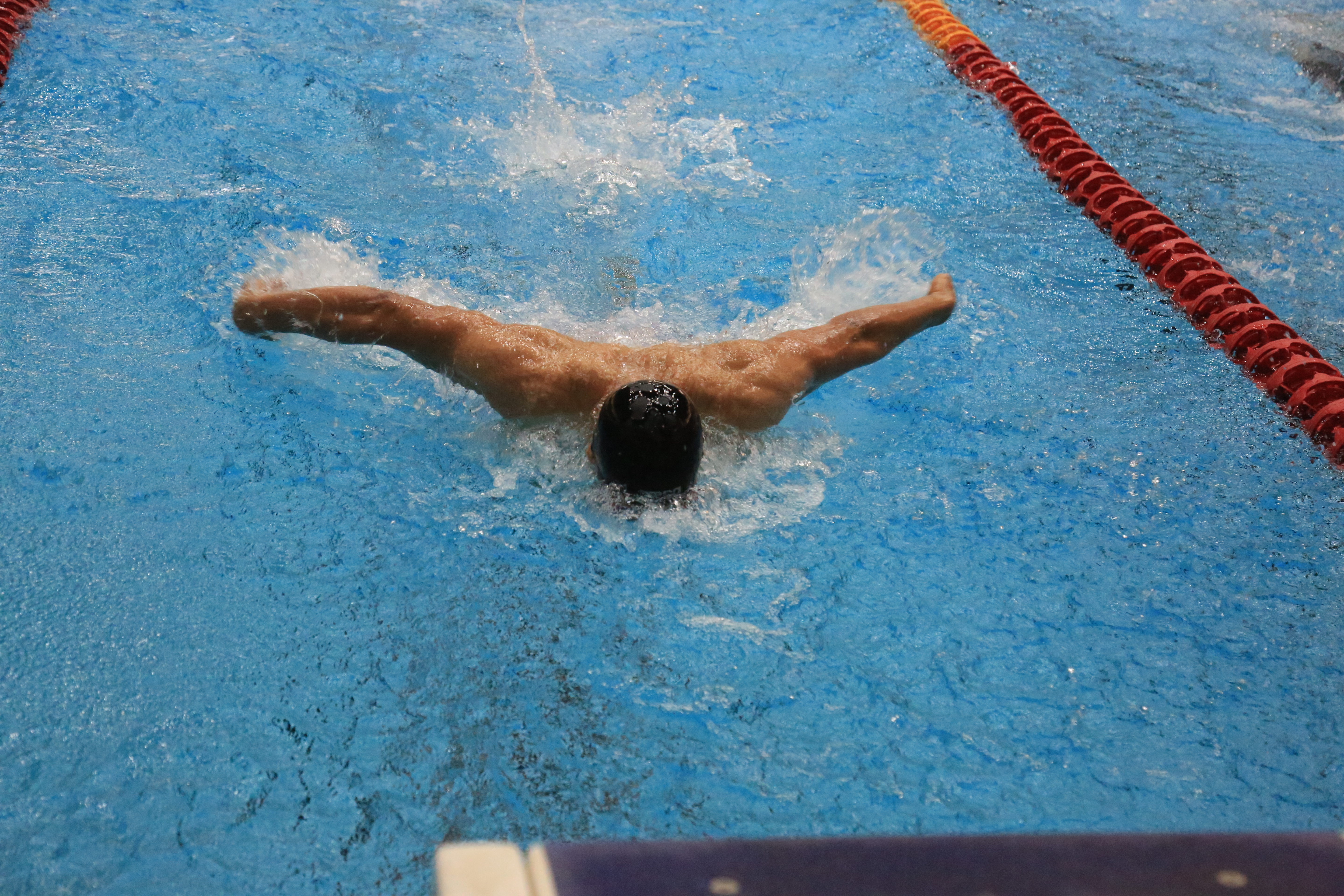 مسابقات قهرمانی کشور شنا جانبازان و توان یابان تحت نظارت کمیته بین المللی پارالمپیک