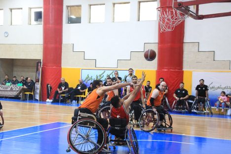 basket (20)
